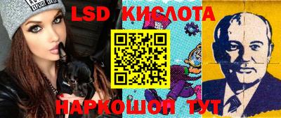 мяу мяу мука Камышлов