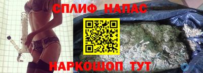 гашик Кандалакша