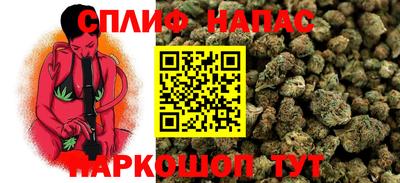 гашик Кандалакша