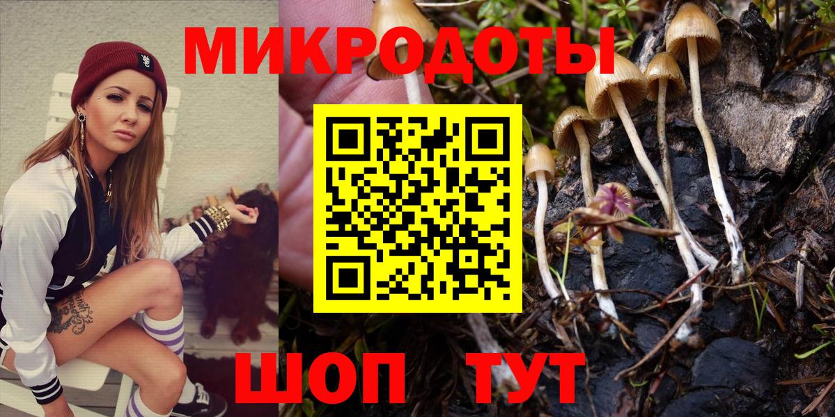 Псилоцибиновые грибы Psilocybine cubensis Усть-Илимск